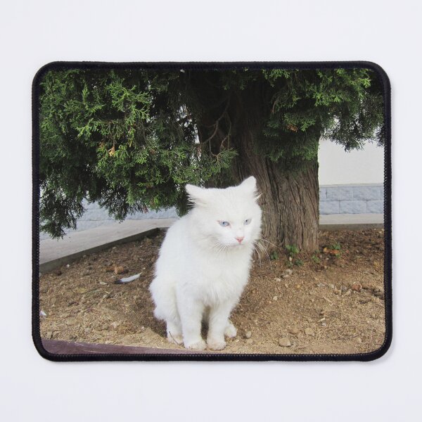 Item preview, Bad Kitty designed and sold by Alexander Krishchyunas.