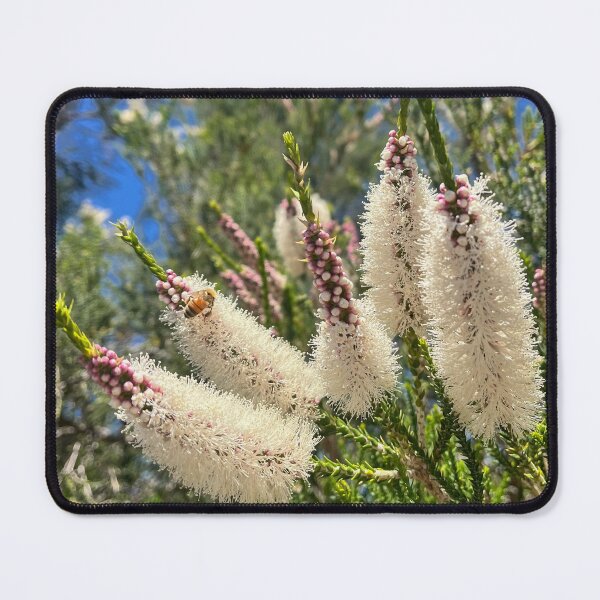 Item preview, Honey Bee on White Chenille Honey Myrtle Flowers designed and sold by Be Captured by Brittany Emma.