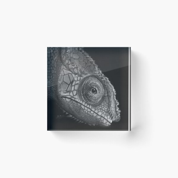 Item preview, Neptune the Chameleon designed and sold by pbatescreates.