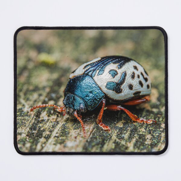 Item preview, Elm Calligrapher Beetle designed and sold by Fultz-Brothers.