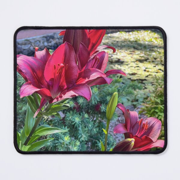 Item preview, Deep Red Lily Flowers Beside Tranquil Garden Pond designed and sold by Be Captured by Brittany Emma.