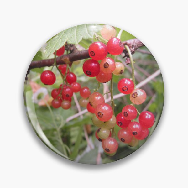 Item preview, Redcurrant designed and sold by Alexander Krishchyunas.