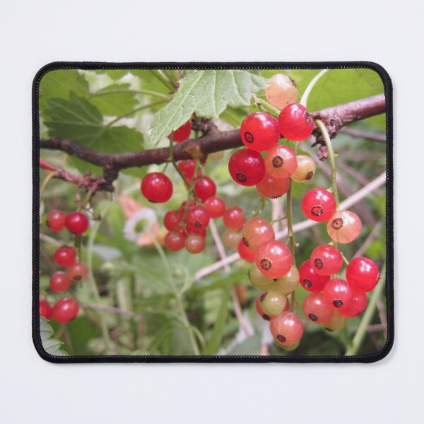 Item preview, Redcurrant designed and sold by Alexander Krishchyunas.