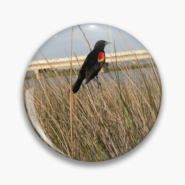 Item preview, Red-Winged Blackbird Perched in Natural Wetland Habitat. designed and sold by Pearls1.