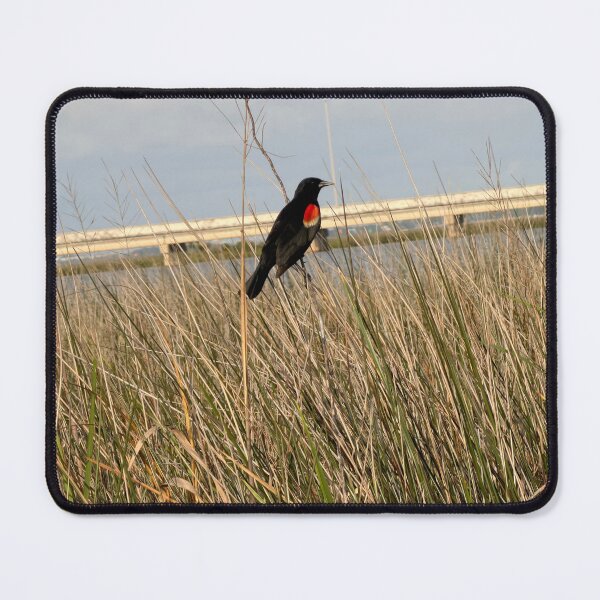 Item preview, Red-Winged Blackbird Perched in Natural Wetland Habitat. designed and sold by Pearls1.
