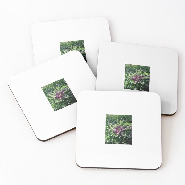 Item preview, Evergreen Wisteria Blooming in a Garden Landscape. designed and sold by Pearls1.