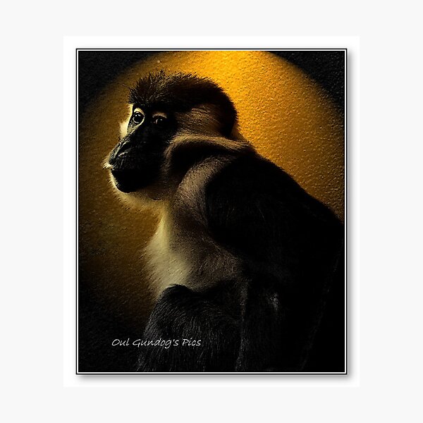 Item preview, The Sitting designed and sold by gundogpic.