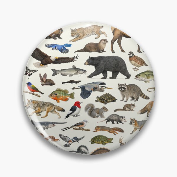 Item preview, Animals of Arkansas Retro Style Identification Chart designed and sold by kakarikihill.