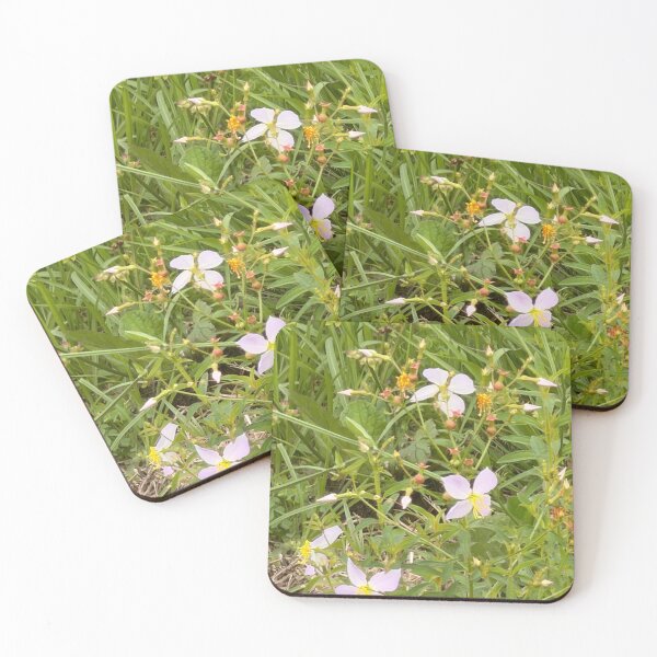 Item preview, Pink Meadow Beauty Wildflowers in Bloom. designed and sold by Pearls1.