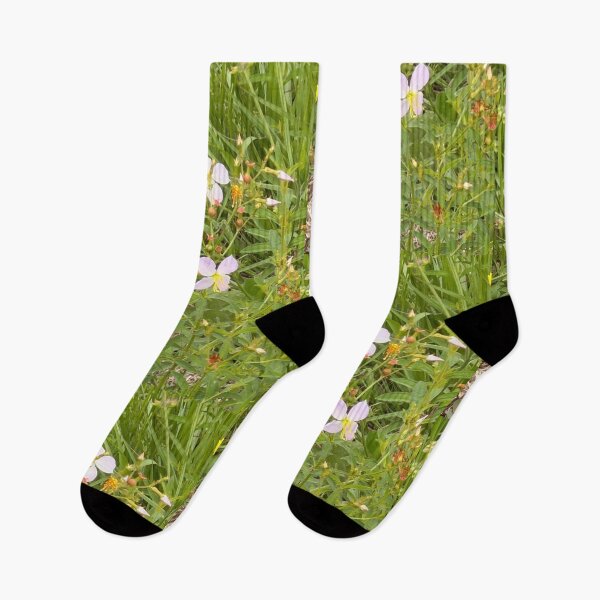 Item preview, Pink Meadow Beauty Wildflowers in Bloom. designed and sold by Pearls1.