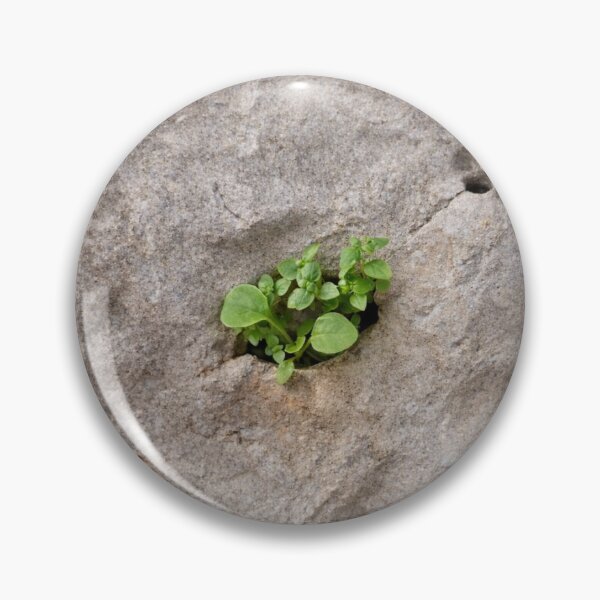 Item preview, life finds a way, shepherd's clock designed and sold by Lunar-Dragon.