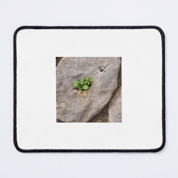 Item preview, life finds a way, shepherd's clock designed and sold by Lunar-Dragon.