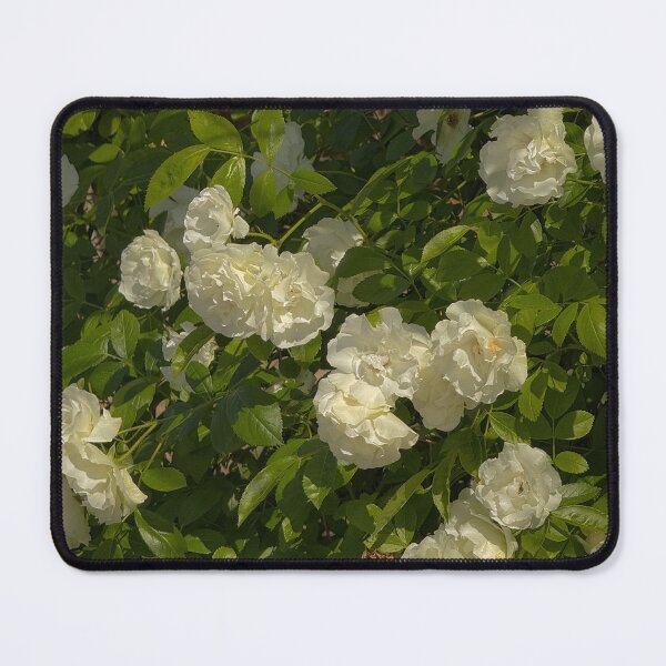 Item preview, White flowers on the walking path designed and sold by SubbieArt.