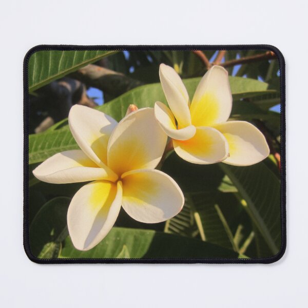 Item preview, Plumeria designed and sold by Alexander Krishchyunas.