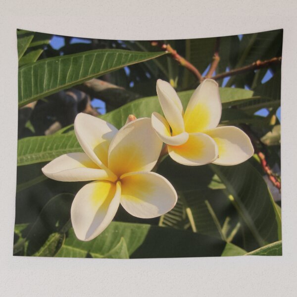Item preview, Plumeria designed and sold by Alexander Krishchyunas.