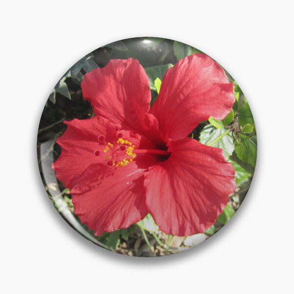 Item preview, Hibiscus designed and sold by Alexander Krishchyunas.