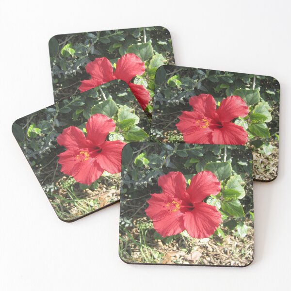 Item preview, Hibiscus designed and sold by Alexander Krishchyunas.