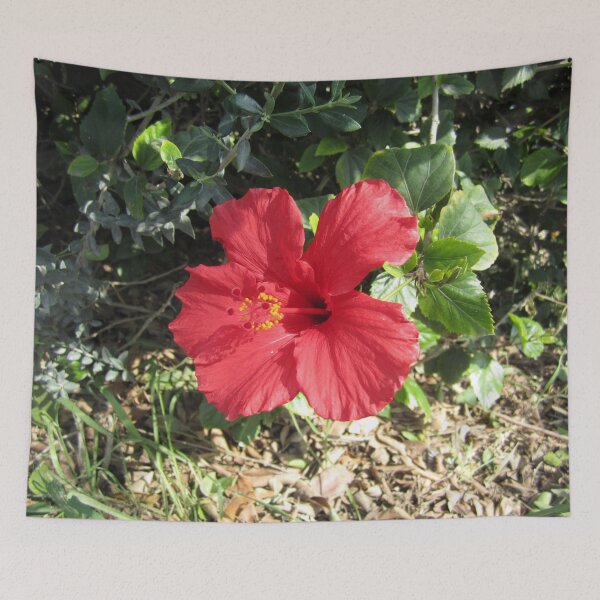 Item preview, Hibiscus designed and sold by Alexander Krishchyunas.