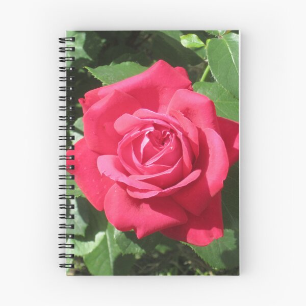 Item preview, Red Rose designed and sold by Alexander Krishchyunas.