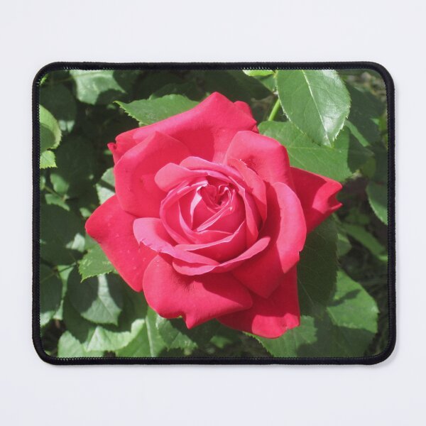 Item preview, Red Rose designed and sold by Alexander Krishchyunas.