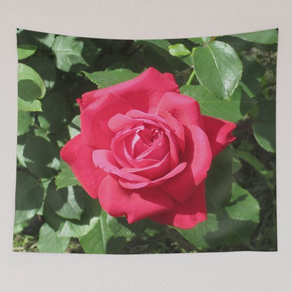 Item preview, Red Rose designed and sold by Alexander Krishchyunas.