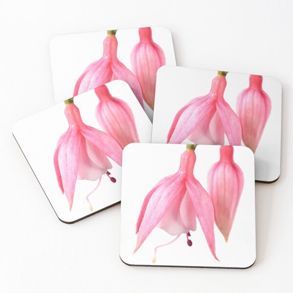 Item preview, Fuchsia  'Miss California'   designed and sold by Chris Burrows.