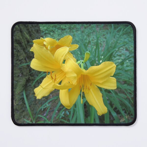 Item preview, Lilies designed and sold by Alexander Krishchyunas.