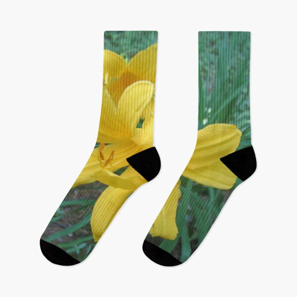 Item preview, Lilies designed and sold by Alexander Krishchyunas.