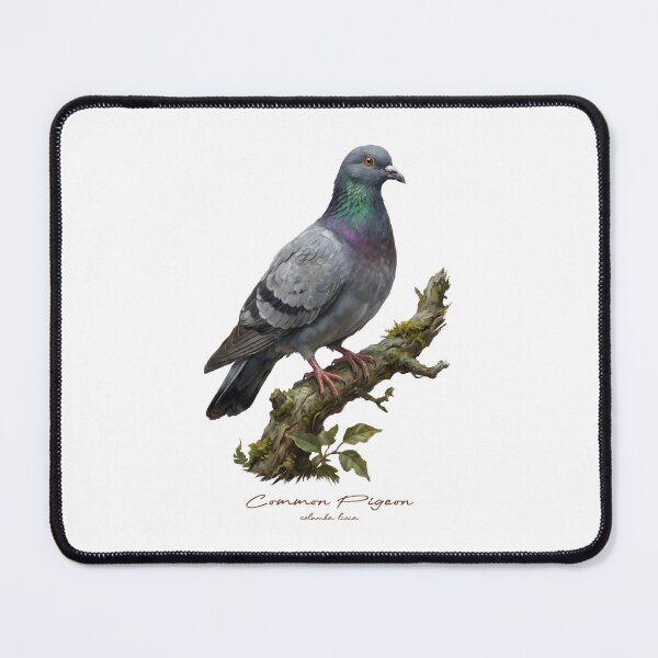 Item preview, Common Pigeon on Rustic Branch designed and sold by Takeda-art.