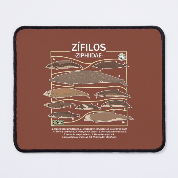 Item preview, Ziphiidae designed and sold by Procyonidae Creative.