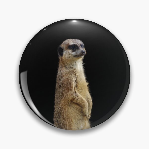 Item preview, Mongoose - Meerkat Socks designed and sold by deanworld.