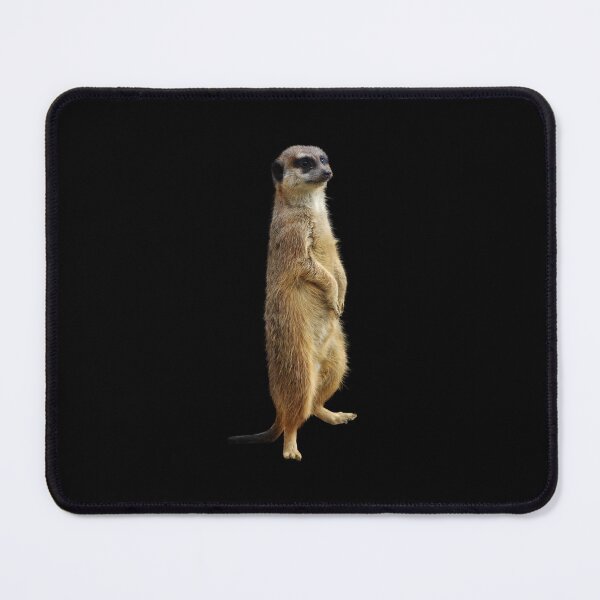 Item preview, Mongoose - Meerkat Socks designed and sold by deanworld.