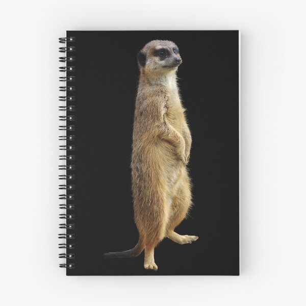 Item preview, Mongoose - Meerkat Socks designed and sold by deanworld.