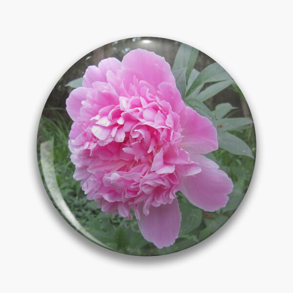 Item preview, Peony designed and sold by Alexander Krishchyunas.