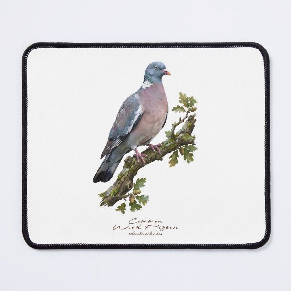 Item preview, Common Wood Pigeon on Tree designed and sold by Takeda-art.