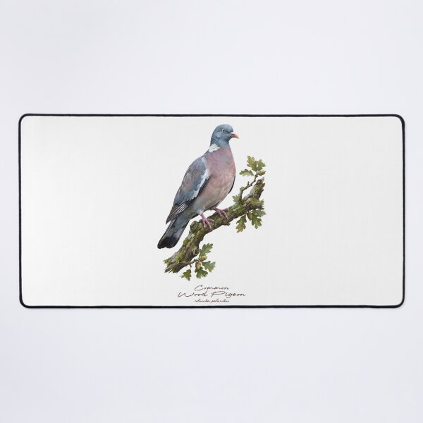 Item preview, Common Wood Pigeon on Tree designed and sold by Takeda-art.