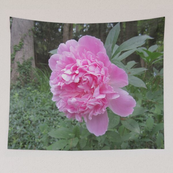 Item preview, Peony designed and sold by Alexander Krishchyunas.