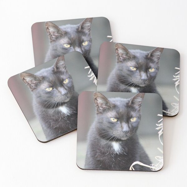 Item preview, Black Cat Portrait With Yellow Eyes designed and sold by 27Tammy27.