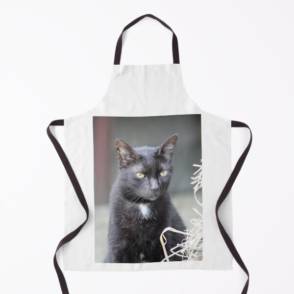Item preview, Black Cat Portrait With Yellow Eyes designed and sold by 27Tammy27.