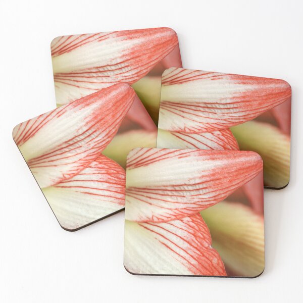 Item preview, Red and White Hippeastrum Amaryllis Flower Petals designed and sold by 27Tammy27.