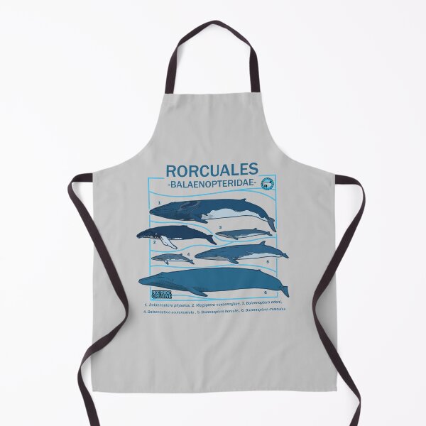 Item preview, Balaenopteridae designed and sold by Procyonidae Creative.