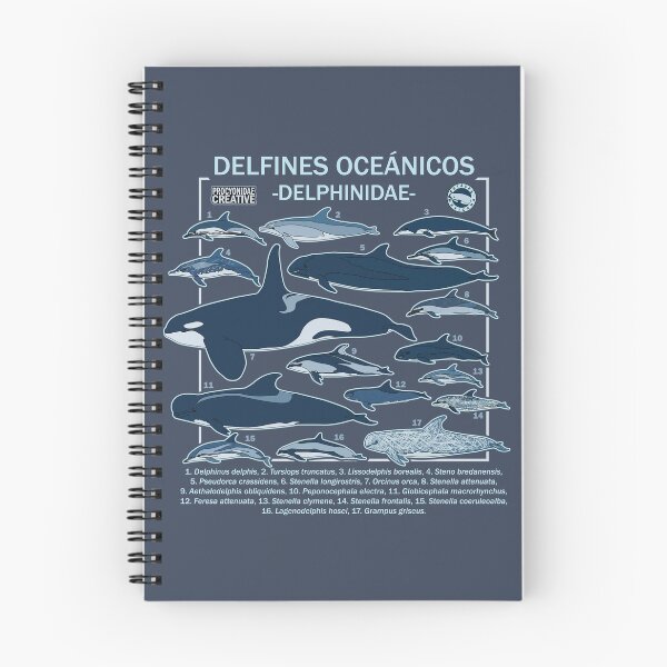 Item preview, Delphinidae designed and sold by Procyonidae Creative.