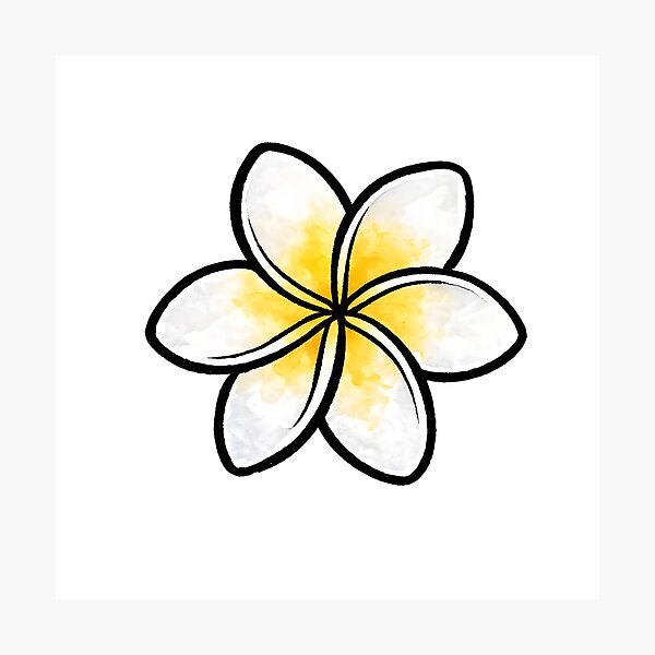 Item preview, Plumeria designed and sold by GraphicsClub.