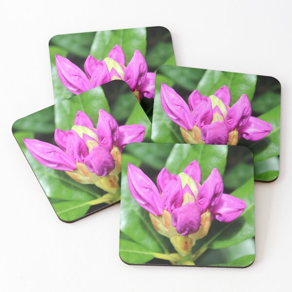 Item preview, spring flower designed and sold by KathleenDawson.