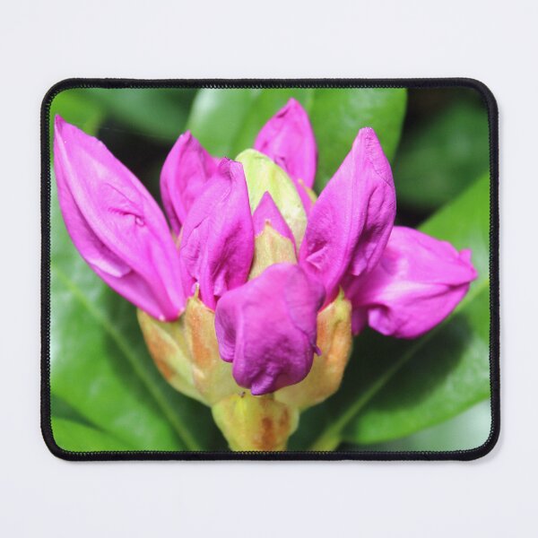 Item preview, spring flower designed and sold by KathleenDawson.