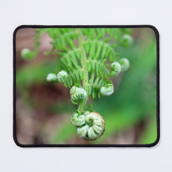 Item preview, fern designed and sold by KathleenDawson.