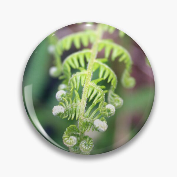 Item preview, fern designed and sold by KathleenDawson.