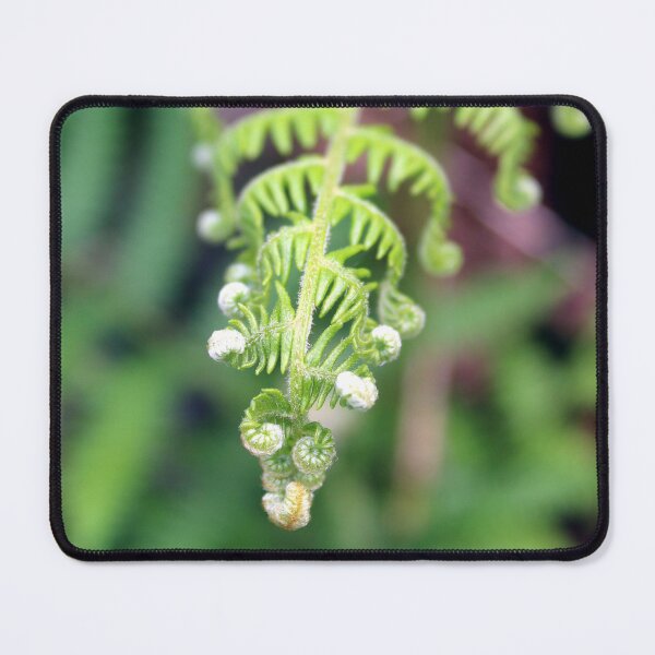 Item preview, fern designed and sold by KathleenDawson.