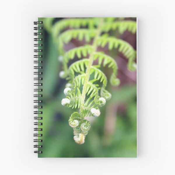 Item preview, fern designed and sold by KathleenDawson.