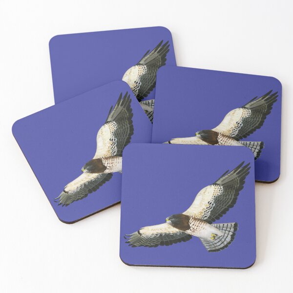 Item preview, Swainson's Hawk designed and sold by adziegiel.